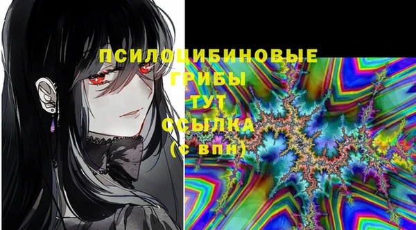 тгк Ростов