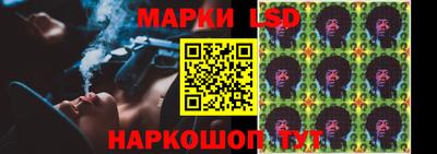 прущие крисы Камышлов