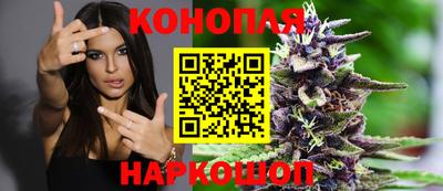 прущие крисы Камышлов