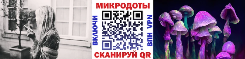 закладка  hydra зеркало  Псилоцибиновые грибы мухоморы  Новый Уренгой 